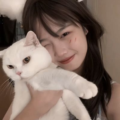 猪猪侠百变摩托破解版下载